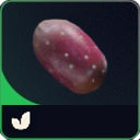 MMOJUGG ARC Raiders Prickly Pear * 10 Details View of Item Function and Use